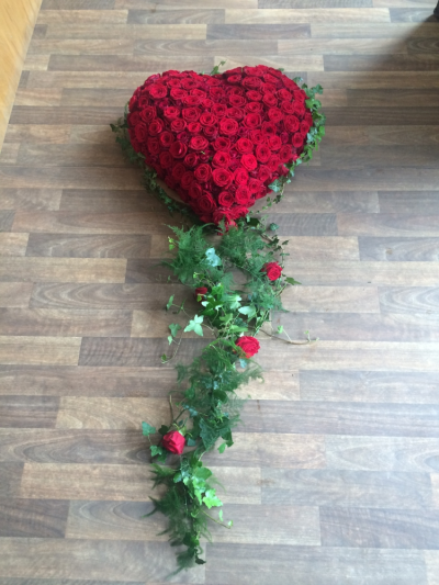 Trailing Heart - This Luxury Heart is made with Scented Red Roses with beautiful Trailing Ferns and Ivy with Roses Trailing through to the base of the Coffin. Trailing Heart - This Luxury Heart is made with Scented Red Roses with beautiful Trailing Ferns and Ivy with Roses Trailing through to the base of the Coffin.