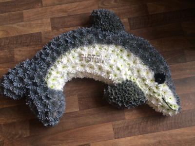 Dolphin Tribute - Bespoke Dolphin Funeral Tribute. Dolphin Tribute - Bespoke Dolphin Funeral Tribute.