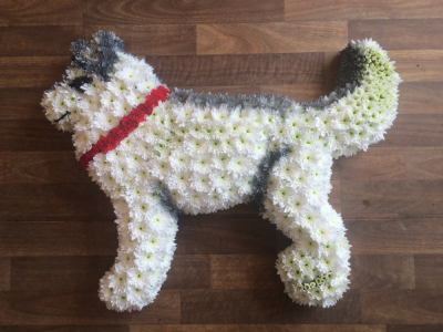 Dog Tribute - Bespoke Funeral Tribute of a Husky Dog Dog Tribute - Bespoke Funeral Tribute of a Husky Dog