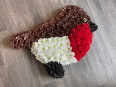 Robin Tribute - Bespoke Robin Tribute. Robin Tribute - Bespoke Robin Tribute.