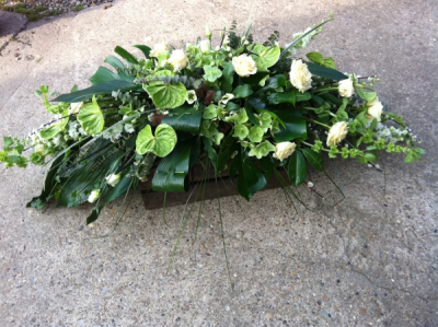 Green and White Coffin Spray - Natural White and Green Coffin Spray. Sizes start from 3ft,4ft & 5ft Green and White Coffin Spray - Natural White and Green Coffin Spray. Sizes start from 3ft,4ft & 5ft