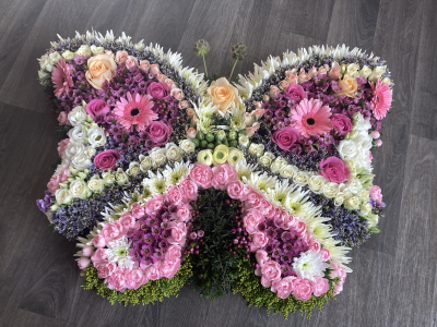 Butterfly - Bespoke 2D Butterfly Butterfly - Bespoke 2D Butterfly